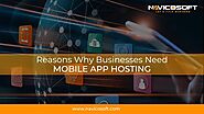 Reasons Why Businesses Need Mobile App Hosting
