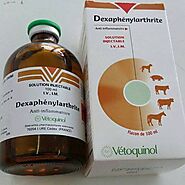 DEXAPHENYLARTHRITE (VETOQUINOL) - horsemedshop