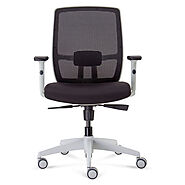 Luminous Mesh Ergonomic Office Chair - Cassa Vida