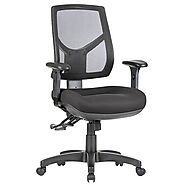 Hino High Back Mesh Ergonomic Office Chair with Adjustable Arms - Cassa Vida