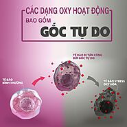 Tế bào gốc tự do là gì? Ảnh hưởng thế nào tới sức khoẻ và sắc đẹp trong việc chăm sóc da? - ShinReview