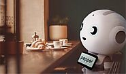 SoftBank Pepper robot becomes super deformed cuddly toy with giant head | Japan Trends