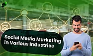 Successful Examples of Social Media Marketing in Various Industries