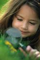 California Healthy Kids Resource Center - California Preschools SHINE Elements and Criteria - Garden-Enhanced Nutriti...