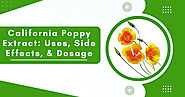 Everything You Need To Know About California Poppy Extract