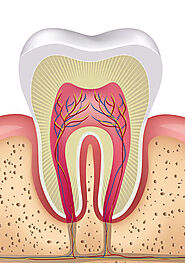 Root Canal Therapy Near Me Magnolia, TX - Magnolia Family Dental and Orthodontics