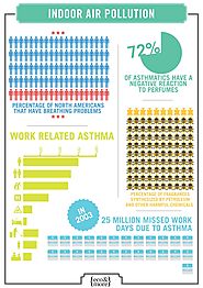 Why Should I Worry about Indoor Pollution?