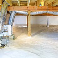 Top Mold Remediation Charlotte NC Experts for Safe Living Spaces