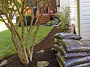 MowCow | Your Go-To Team for Landscaping in Clifton VA