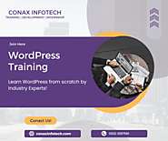 Wordpress Training in Allahabad - Call Now 9555433745
