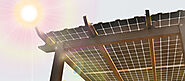 Bifacial Solar Modules: What Are They? Are They Better Than Mono Perc Solar Panels?