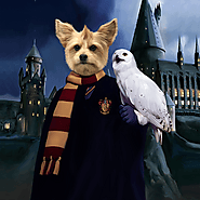 Harry Potter Pet Portraits in amazing outfits - Iconic Paw