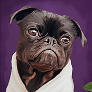 Custom Painted Pet Portraits Canvas Print - Iconic Paw