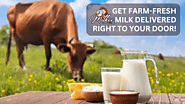 Get Farm-Fresh Milk Delivered Right to Your Door! | by Milker Application | Feb, 2025 | Medium