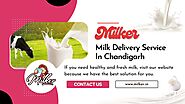 Why Is Milker The Best Milk Delivery Service In Chandigarh?
