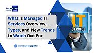 What Is Managed IT Service : Overview, Types, and New Trends to Watch Out For