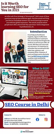 Is it worth learning SEO for you in 2023 | Piktochart