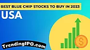 Best Blue Chip Stocks to Buy in 2023 in US Market 