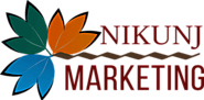 Nikunj marketing best digital marketing comapny in Ludhiana