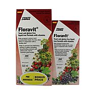Salus Floradix Floravit Yeast-Free Iron Formula Bonus| Vitasave