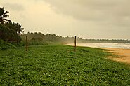 Ahungalla Beach