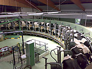 Basic Elements of Milk Production Unit