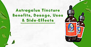 Astragalus Tincture Benefits, Dosage, Uses & Side-Effects