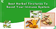 Best Herbal Tinctures To Boost Your Immune System