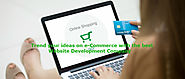 E-commerce Web Development Company in India - Arneacs