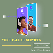 Voice Call API Service