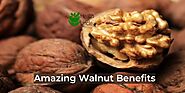 Benefits of Walnuts: 9 Secrets From Best Experts - Health Uncle