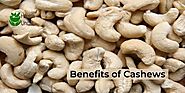 Benefits Of Cashews: 7 Secrets to Boost Health - Health Uncle