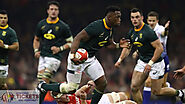 Springboks take on Argentina in a warm-up match for the Rugby World Cup