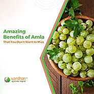 Amazing Benefits of Amla That You Don’t Want to Miss - Vardhan Ayurveda Blogs:
