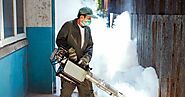 Understanding the Role of Professional Fumigation Treatment in Your Home's Pest Control Plan