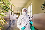 What Homeowners Need to Know About Pest Control in Melbourne