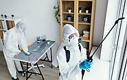 What are the Effective Techniques for Pest Control: To Keep Your Property Pest-Free?