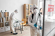 How Does the Best Pest Control Service Handle Severe Infestations?