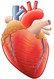 ICD-10 Documentation for Ischemic Heart Disease