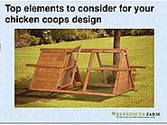 Top elements to consider for your chicken coops design