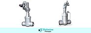 High Quality Pressure Seal Valves Manufacturer, Supplier and Exporter in India - Dalmine Flanges