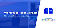 What's the Difference Between WordPress Pages vs Posts?