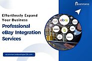 Effortlessly Expand Your Business: Professional eBay Integration Services