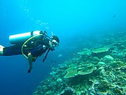Which Dive Sites to Explore