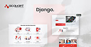 Django Development Company