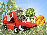 2 Rows Corn Harvester Machine | Corn Combine Harvester Machine