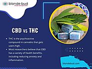 CBD vs THC