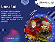 Blonde Bud