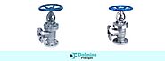 High Quality Globe Valves Manufacturer, Supplier and Exporter in India - Dalmine Flanges