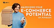 Vendor Central Management Success: Maximizing Your E-Commerce Potential on Amazon | Lab 916